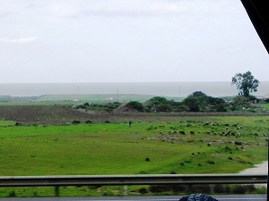 吼mȂk